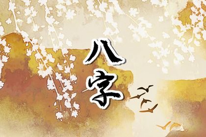 在线排盘的便利与边界
