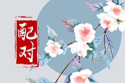 流年合婚：动态视角