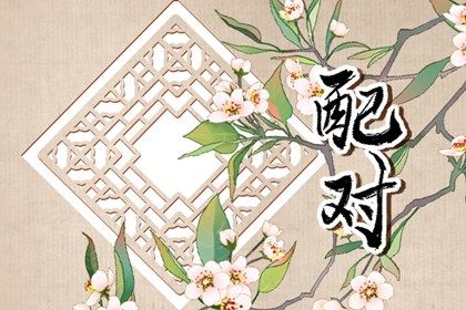 自由恋爱时代的合婚