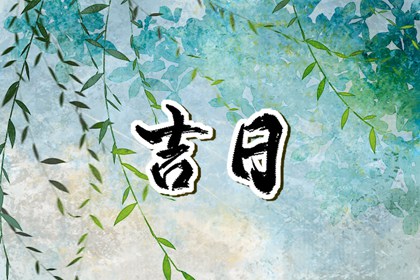 元亨紫薇排盘系统_紫微看死亡时间_紫微解盘_紫微天相入命宫_命盘八字五行